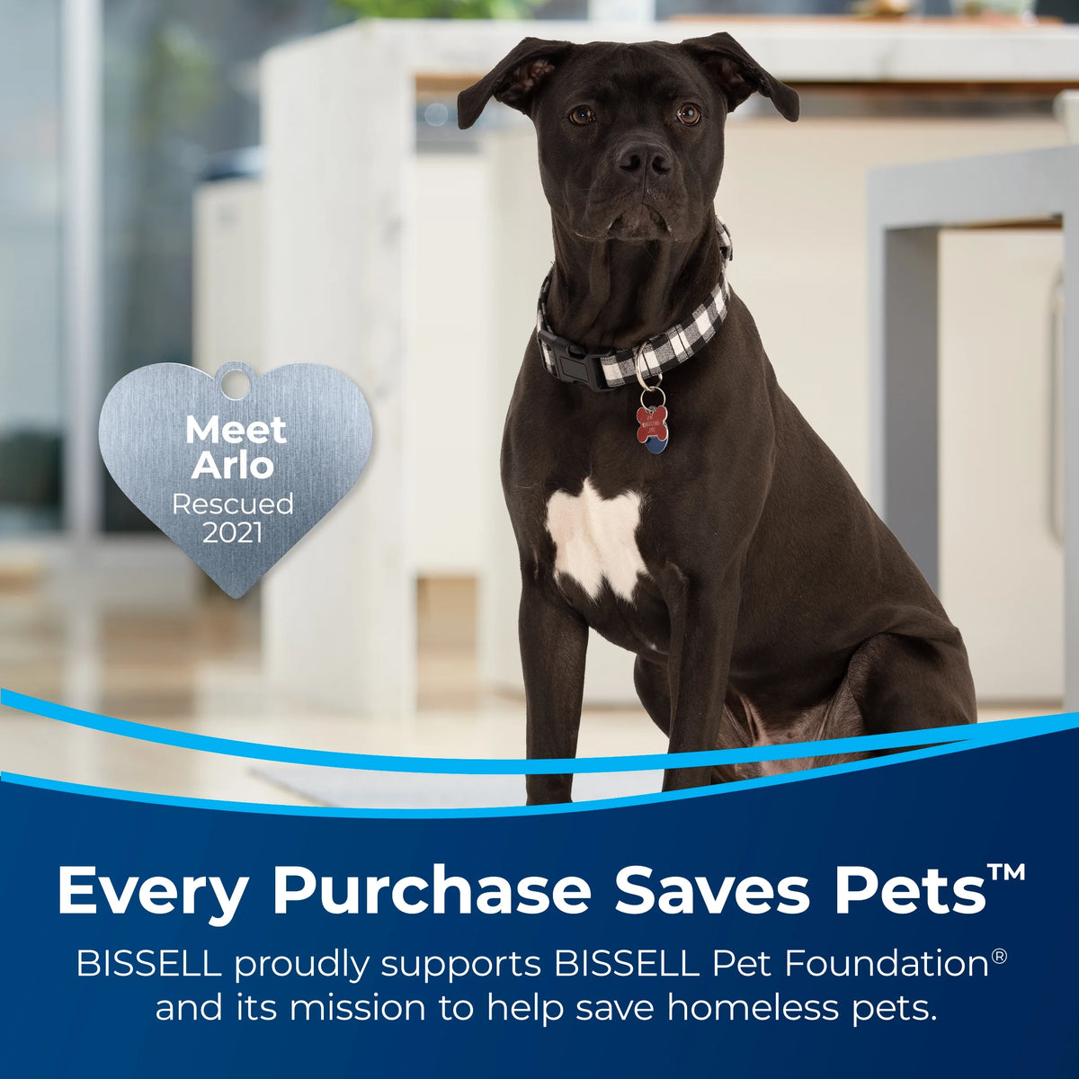 BISSELL® CrossWave® Hard Floor Expert® Wet Dry Vacuum 3831