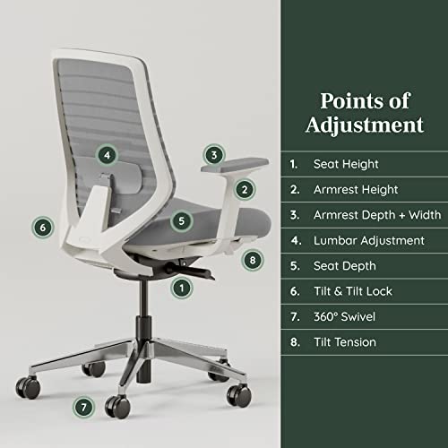 Branch Ergonomic Chair Adjustable Breathable