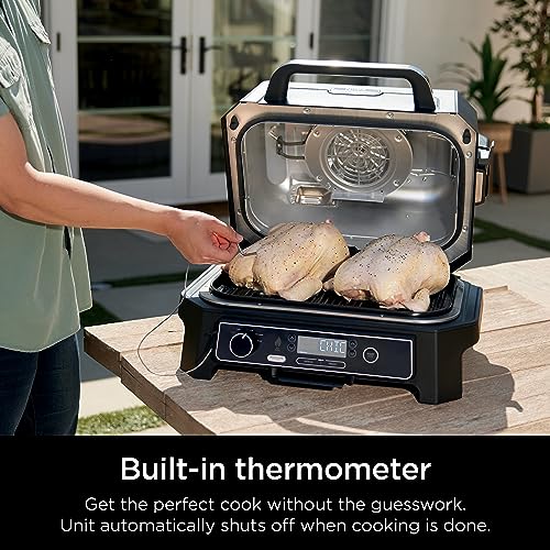 Ninja OG850 Woodfire Thermometer Portable