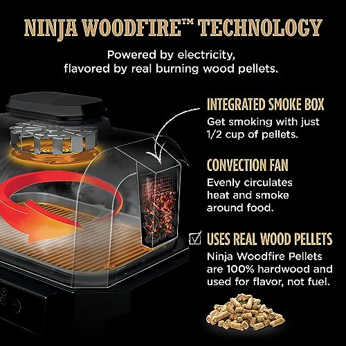 Ninja OG850 Woodfire Thermometer Portable
