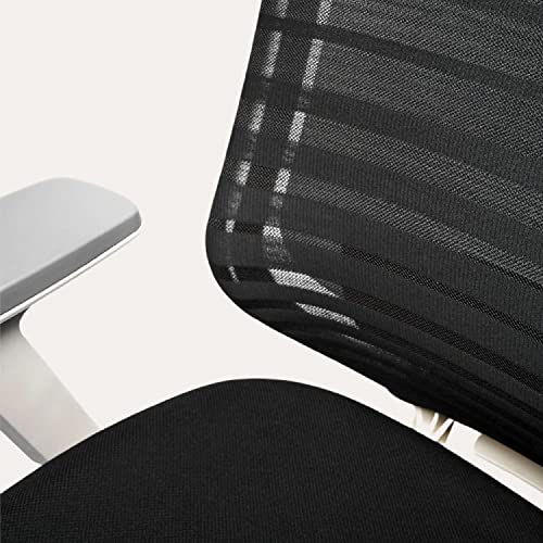 Branch Ergonomic Chair Adjustable Breathable