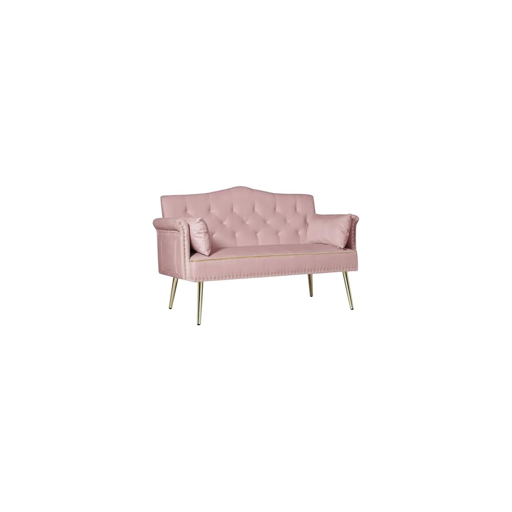 Velvet Loveseat Sofa,Small 2 Seater Couch with Nailhead Trim and Side Pockets for Living Room Apartment (Pink)