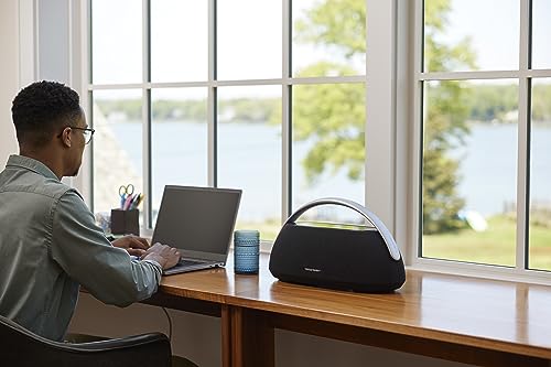 Harman Kardon Go Play Black