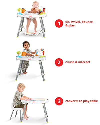 Skip Hop Explore 3 Stage Activity