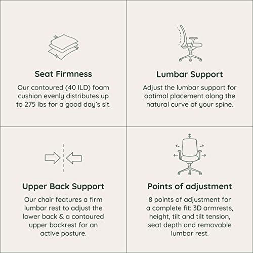 Branch Ergonomic Chair Adjustable Breathable