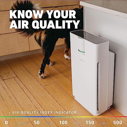 HATHASPACE Smart Air Purifiers HSP002 1500