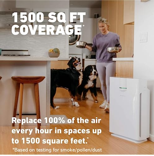 HATHASPACE Smart Air Purifiers HSP002 1500
