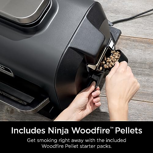 Ninja OG850 Woodfire Thermometer Portable