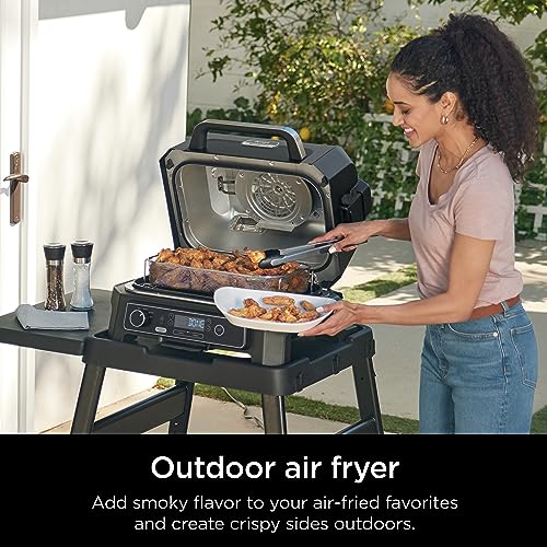 Ninja OG850 Woodfire Thermometer Portable