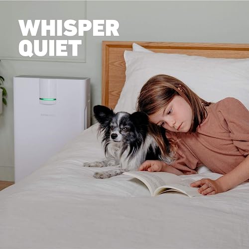 HATHASPACE Smart Air Purifiers HSP002 1500