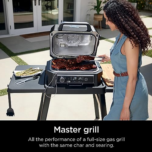 Ninja OG850 Woodfire Thermometer Portable